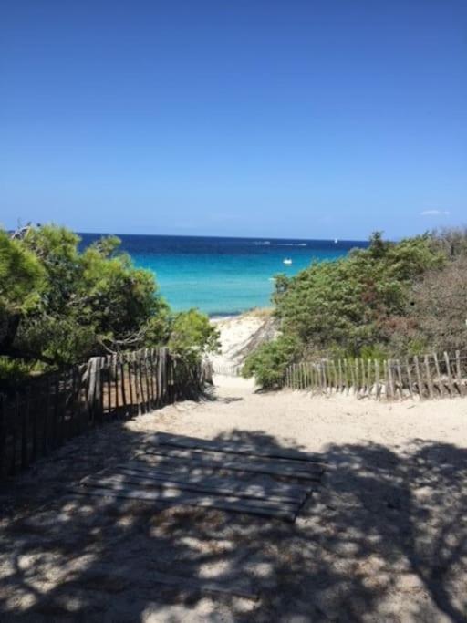 Appartement Tout Confort 2-4 Pers 500 M De La Plage Avec Piscine Et Wifi Santa-Maria-Poggio  Exterior foto